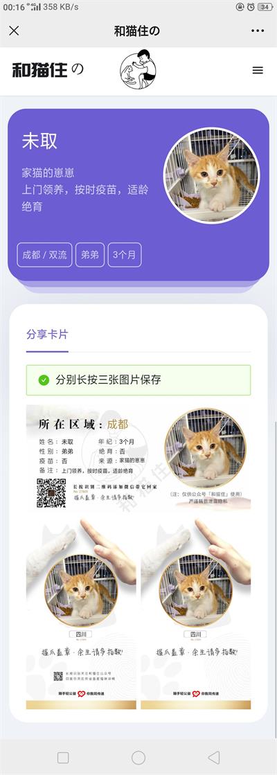 thinkphp内核开发流浪猫流浪狗宠物领养平台H5源码